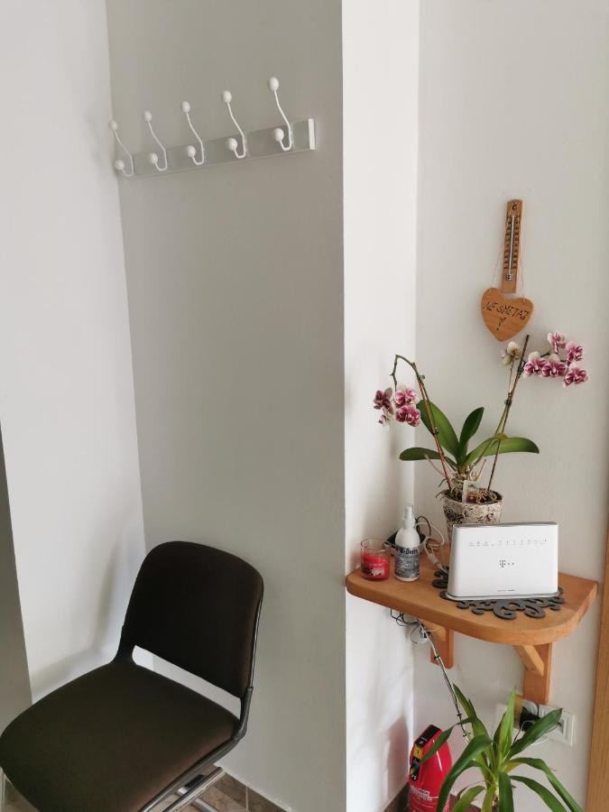 Apartman I Soba Hadela Sveti Martin Na Muri Bagian luar foto