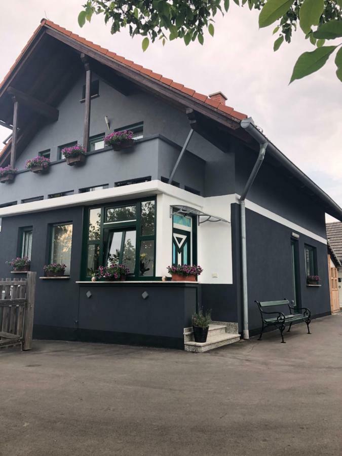 Apartman I Soba Hadela Sveti Martin Na Muri Bagian luar foto